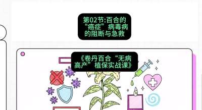 第02节：百合的&ldquo;癌症&rdquo;&mdash;&mdash;病毒病的阻断与急救，课程：《卷丹百合&ldquo;无病高产&rdquo;植保实战课》#识农AI