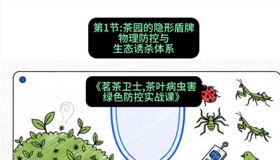 第01节：茶园的&ldquo;隐形盾牌&rdquo;&mdash;&mdash;物理防控与生态诱杀体系，课程：《茗茶卫士&mdash;&mdash;茶叶病虫害绿色防控实战课》#识农AI