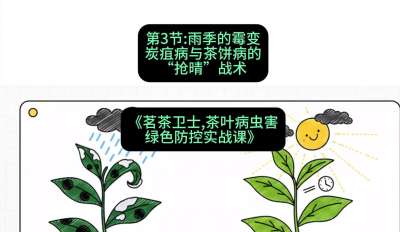 第03节：雨季的霉变&mdash;&mdash;炭疽病与茶饼病的&ldquo;抢晴&rdquo;战术，课程：《茗茶卫士&mdash;&mdash;茶叶病虫害绿色防控实战课》#识农AI