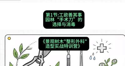 第01节：工欲善其事&mdash;&mdash;园林&ldquo;手术刀&rdquo;的选择与消毒，课程：《景观树木&ldquo;整形外科&rdquo;造型实战特训营》#识农AI