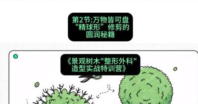 第02节：万物皆可盘&mdash;&mdash;&ldquo;精球形&rdquo;修剪的圆润秘籍，课程：《景观树木&ldquo;整形外科&rdquo;造型实战特训营》#识农AI