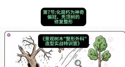 第07节：化腐朽为神奇&mdash;&mdash;偏冠、秃顶树的修复整形，课程：《景观树木&ldquo;整形外科&rdquo;造型实战特训营》#识农AI