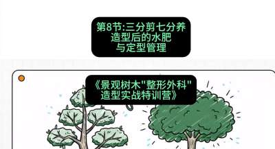 第08节：三分剪七分养&mdash;&mdash;造型后的水肥与定型管理，课程：《景观树木&ldquo;整形外科&rdquo;造型实战特训营》#识农AI