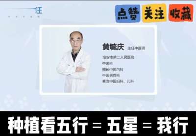 中药材淫羊藿怎么种？听专家一次讲明白！不挑地块好管理，耐寒耐旱省心省力，新手也能轻松上手，药用价值高、市场需求稳，妥妥的增收好品种～ 从生长习性到采收要点，干货满满无废话，种植疑问直接问，一对一答疑解