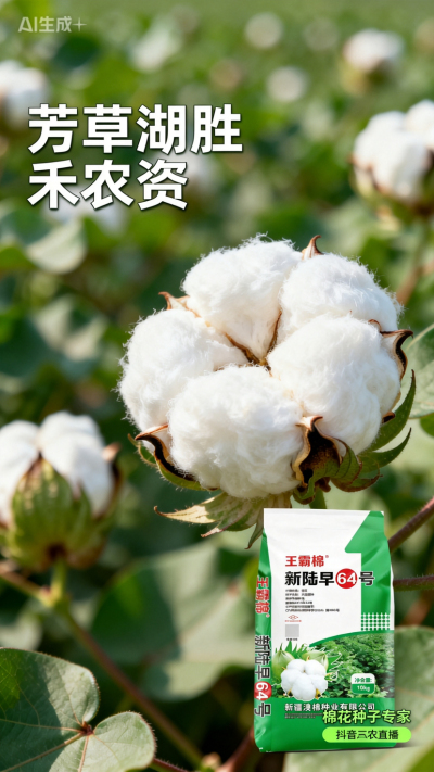 新疆棉花澳棉种业王霸棉，还有其它都好