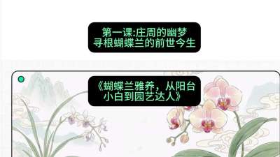 第一节：庄周的幽梦：寻根蝴蝶兰的前世今生，课程：《蝴蝶兰雅养六讲：从阳台小白到园艺达人》#识农AI