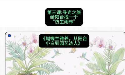 第三节：寻光之旅：给阳台找一个&ldquo;仿生雨林&rdquo;，课程：《蝴蝶兰雅养六讲：从阳台小白到园艺达人》#识农AI