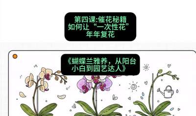 第四节：催花秘籍：如何让&ldquo;一次性花&rdquo;年年复花，课程：《蝴蝶兰雅养六讲：从阳台小白到园艺达人》#识农AI