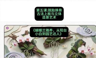 第五节：脱胎换骨：古法上板与立体造景艺术，课程：《蝴蝶兰雅养六讲：从阳台小白到园艺达人》#识农AI