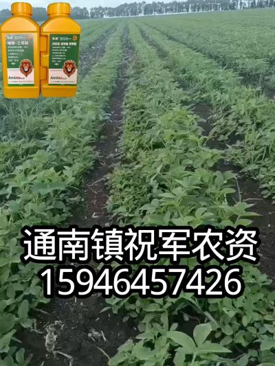 大豆苗前封闭，可封红根苋菜，灰菜，兰花菜，野豆子，捞豆秧等恶性杂草，封杀兼备的高端产品。