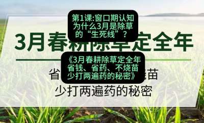 第1节：窗口期认知，为什么3月是除草的&ldquo;生死线&rdquo;？，课程：《3月春耕除草定全年：省钱、省药、不烧苗、少打两遍药的秘密》